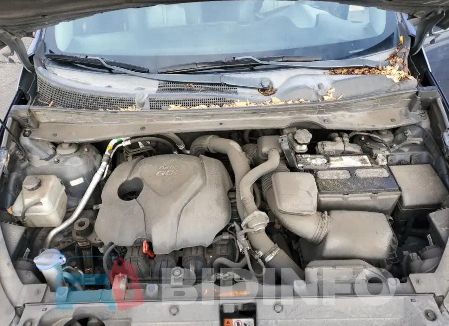 KNDPCCA68G7872082 Photo# 11