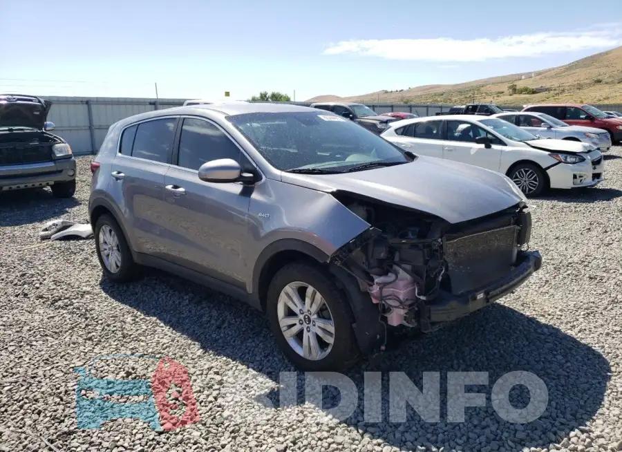 KNDPMCACXK7536185 Photo# 4