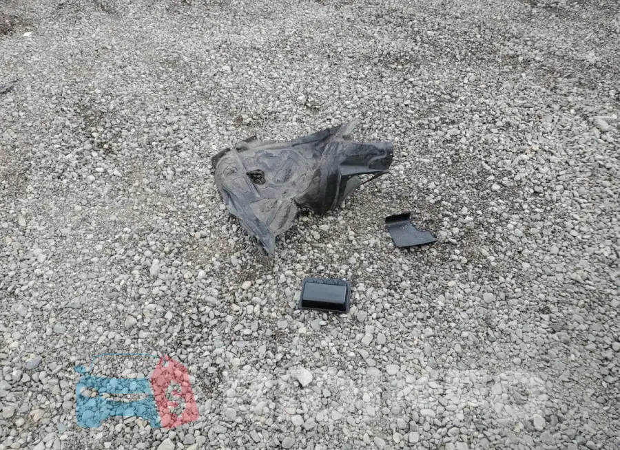 2C3CDXMG3LH239029 Photo# 12