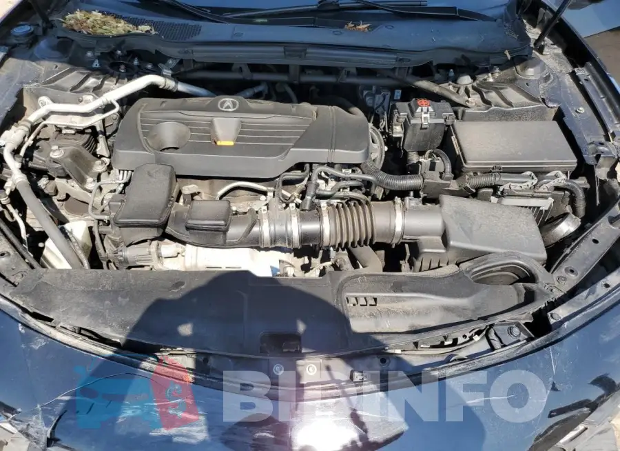 19UUB5F35MA005397 Photo# 11