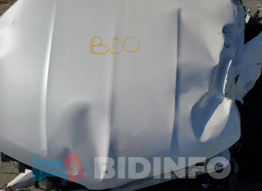 2LMPJ6LR1JBL41576 Photo# 11