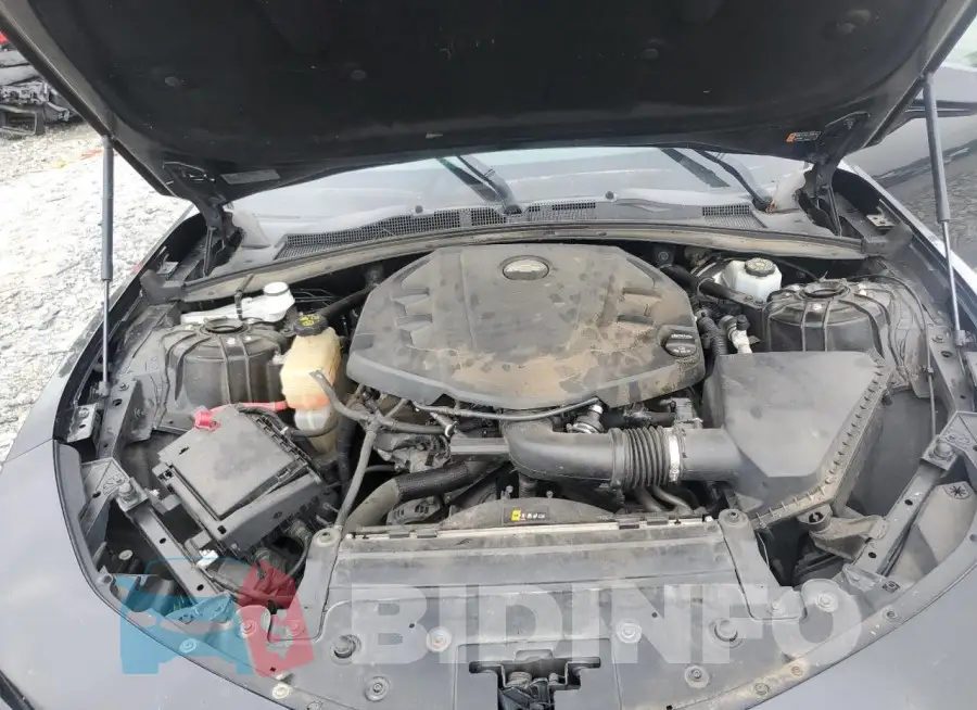 1G1FB1RS5G0146167 Photo# 11