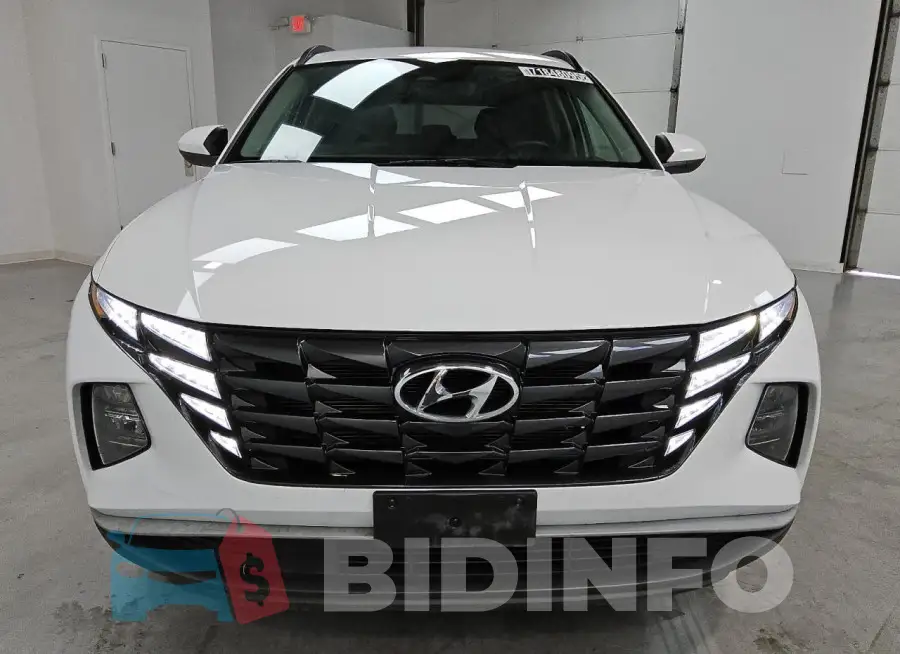 5NMJBCDE8RH299627 Photo# 5