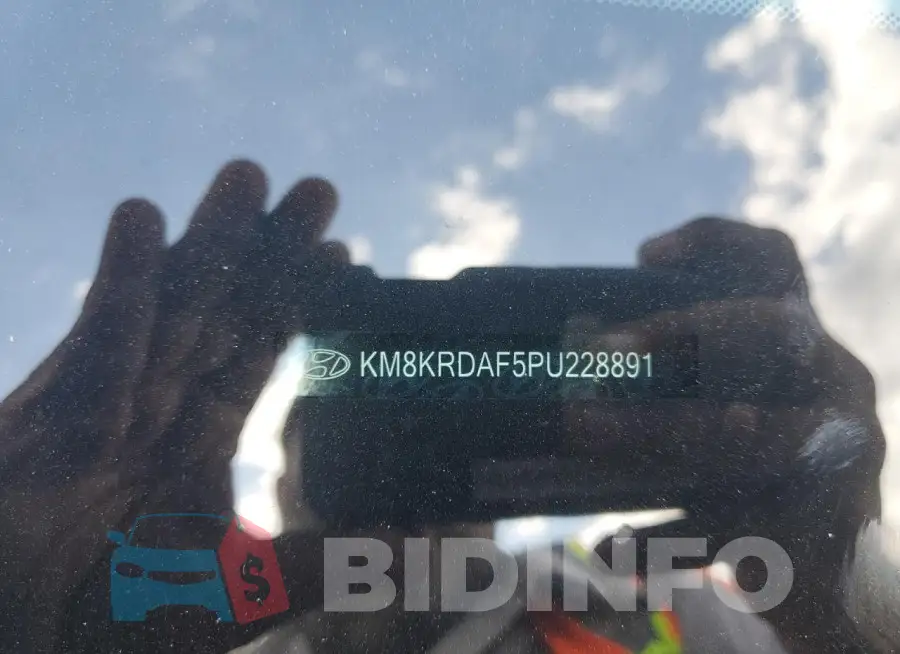KM8KRDAF5PU228891 Photo# 13