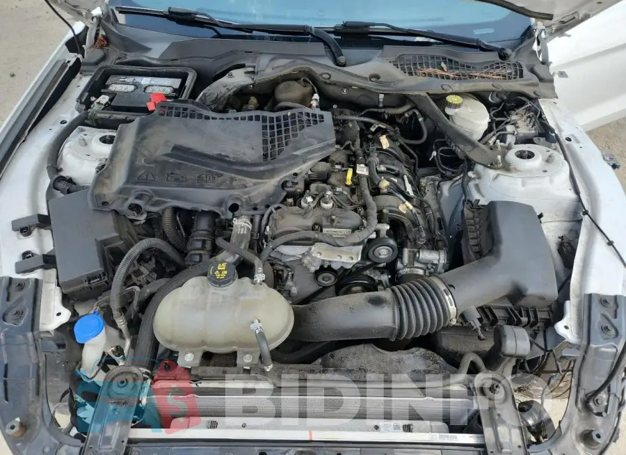 1FATP8UH4M5106165 Photo# 11