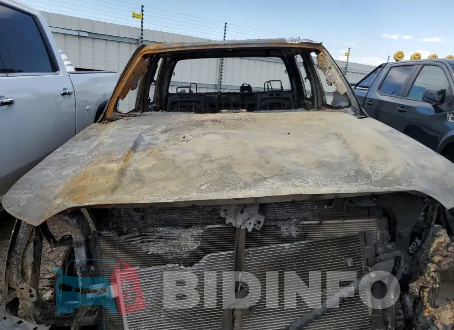 1FT8W3DT7GED26849 Photo# 11