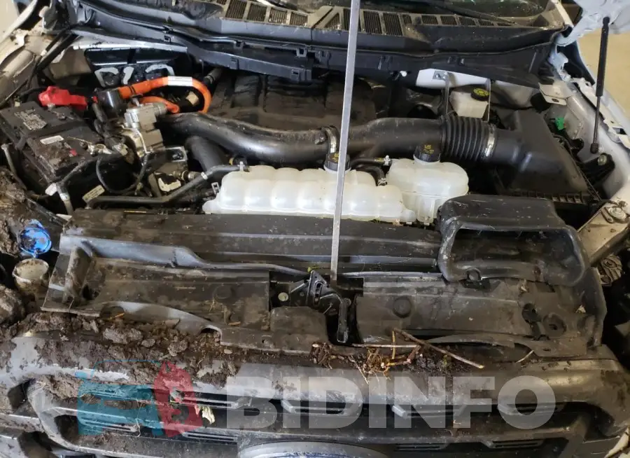 1FTFW1ED7PFD28257 Photo# 11