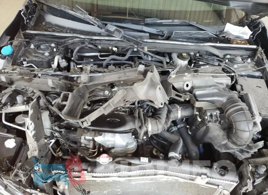 JHMFE1F74NX007911 Photo# 11