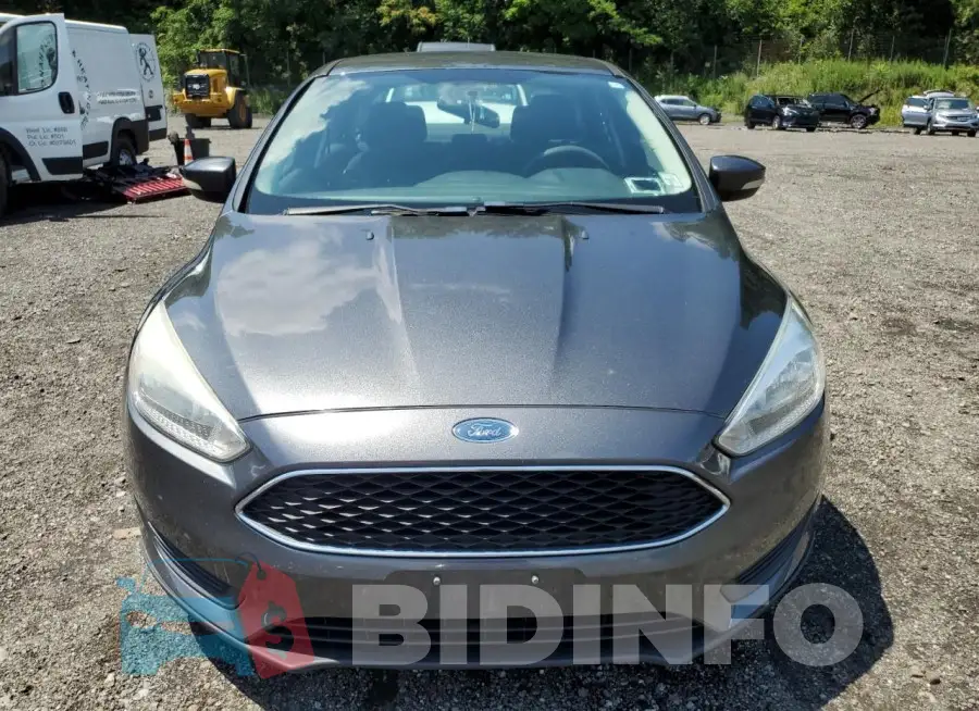 1FADP3F22GL389102 Photo# 5