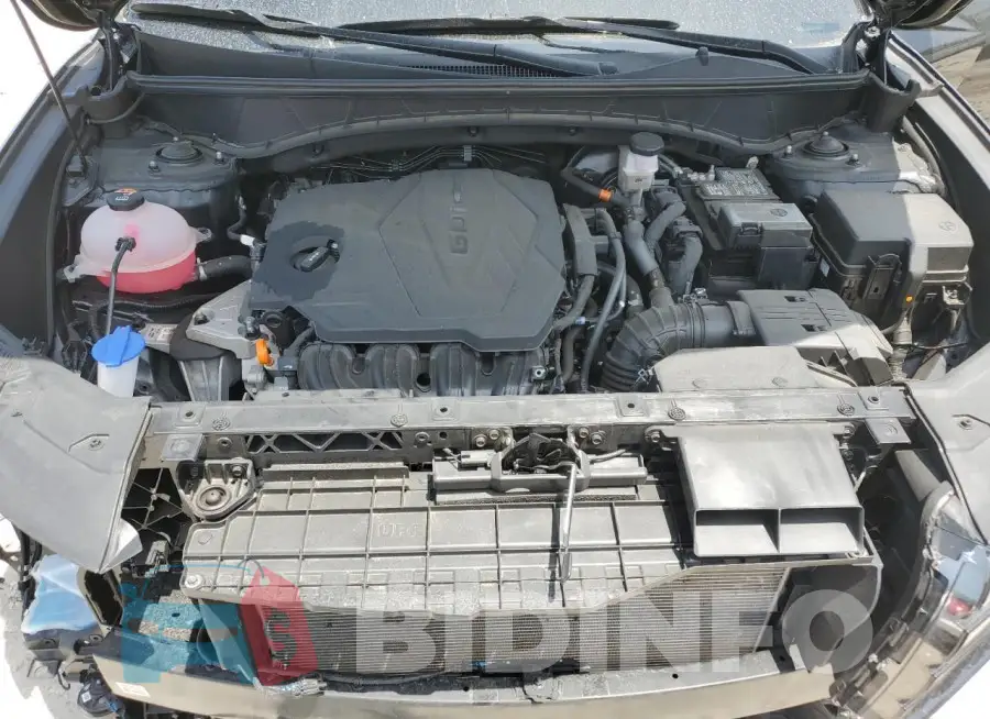 5NMJECDE8RH304123 Photo# 12