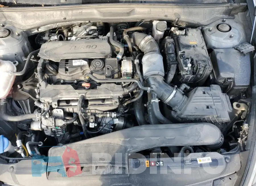 KMHL34J21PA256613 Photo# 11