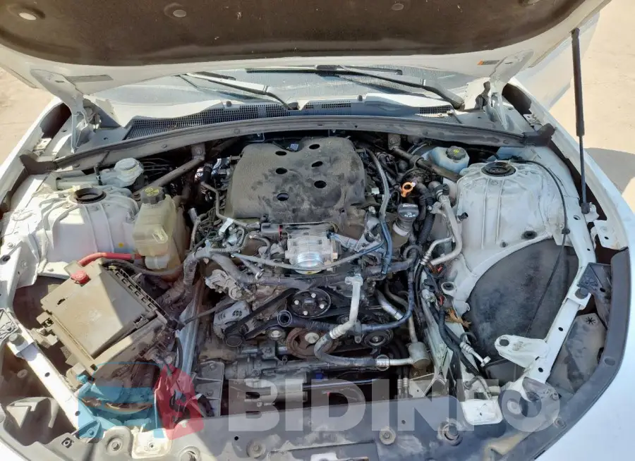 1G1FB1RSXG0180864 Photo# 11