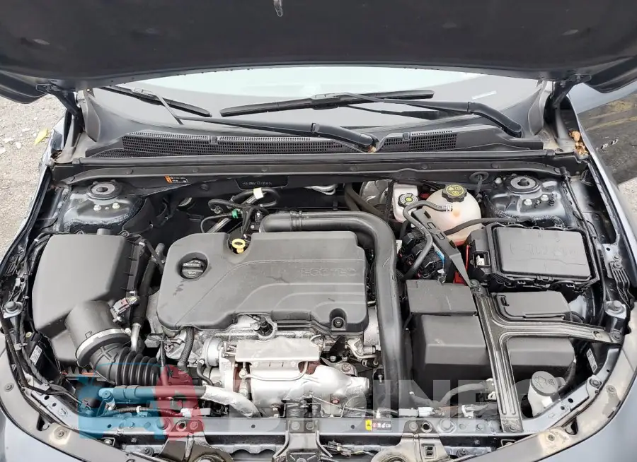 1G1ZB5ST1LF121247 Photo# 11