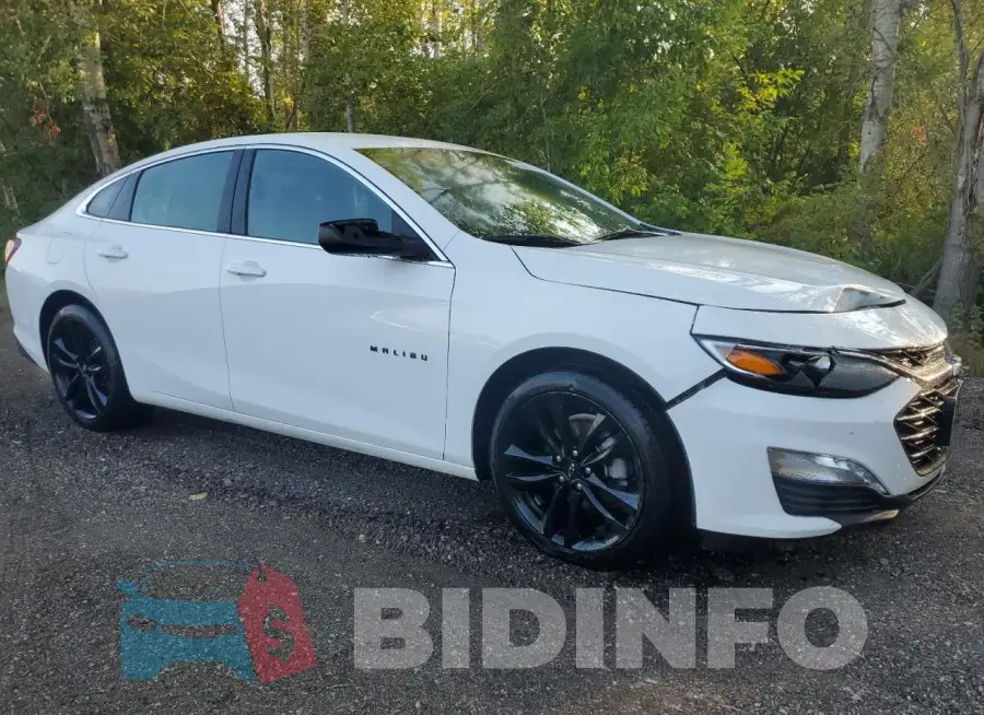 1G1ZD5ST5RF153587 Photo# 4