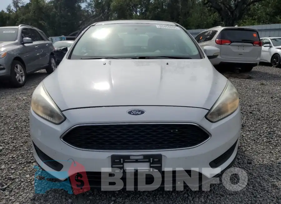 1FADP3F20GL365879 Photo# 5