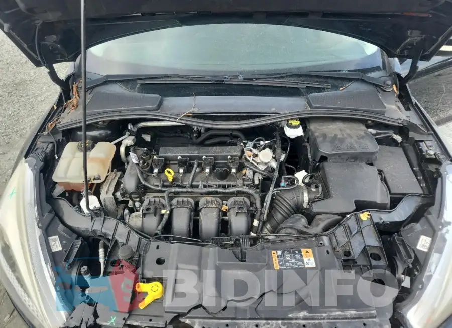 1FADP3F22HL320203 Photo# 11