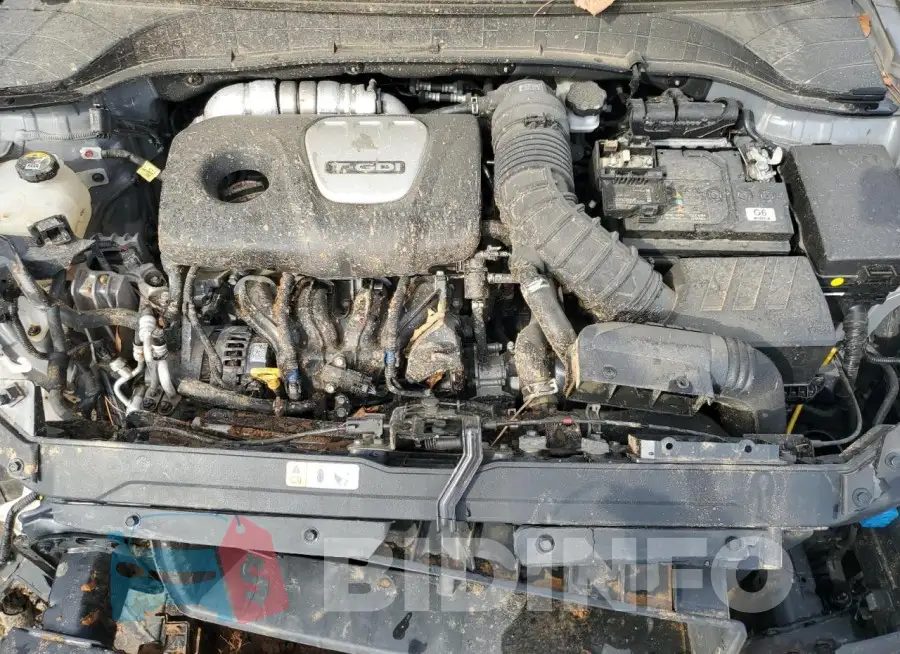 KM8K63A51MU701143 Photo# 12