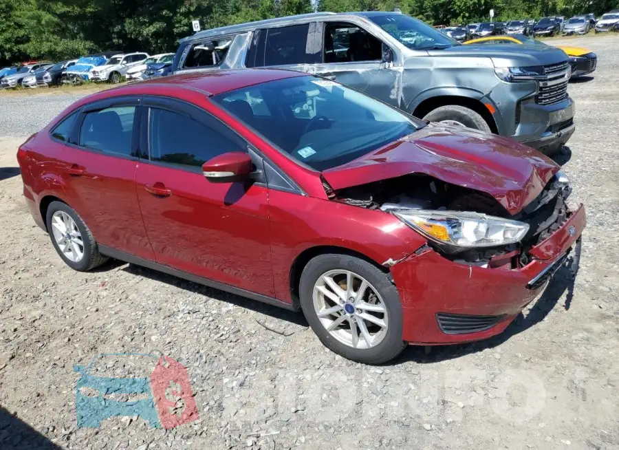 1FADP3F22GL354169 Photo# 4