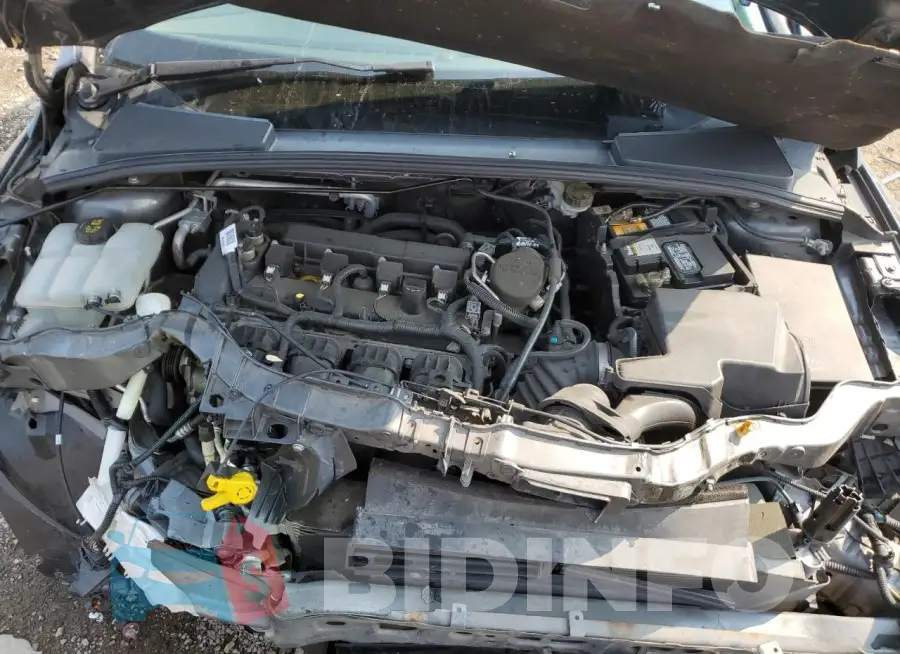 1FADP3F25GL314135 Photo# 11
