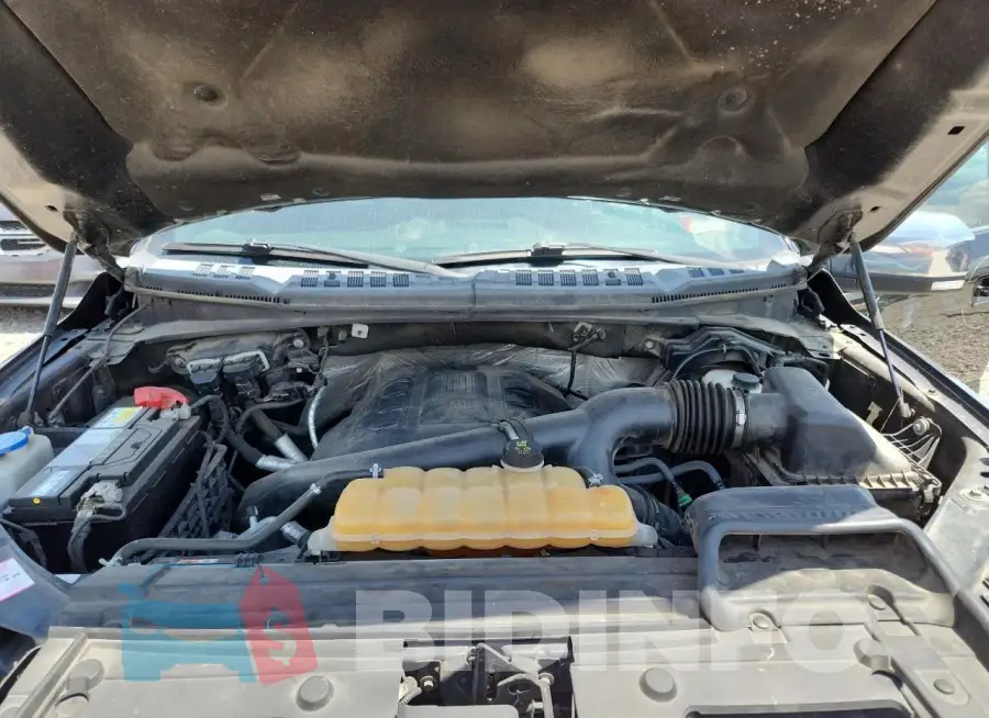 1FTEW1EG1GFB63750 Photo# 11