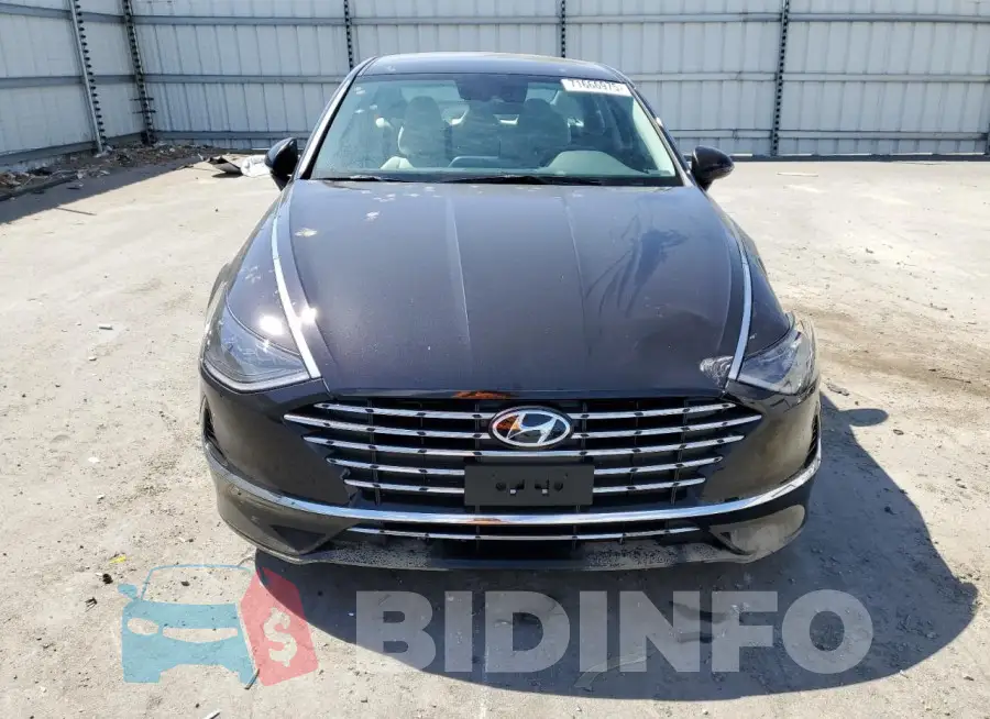 KMHL34JJ4PA062598 Photo# 5