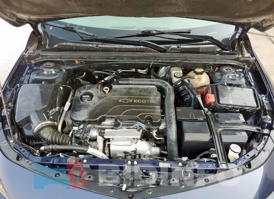 1G1ZB5ST5GF227139 Photo# 11