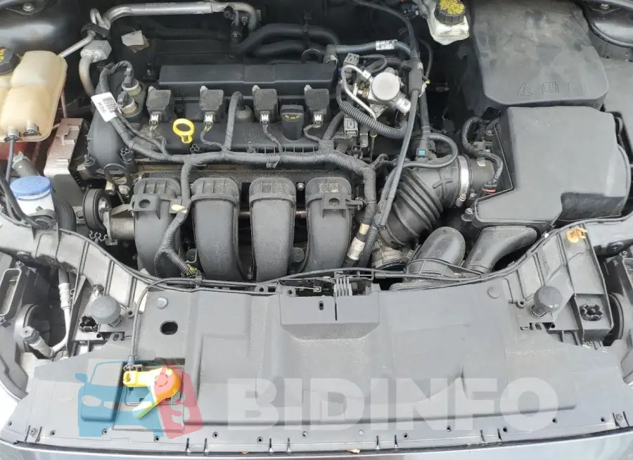 1FADP3F23HL331274 Photo# 11