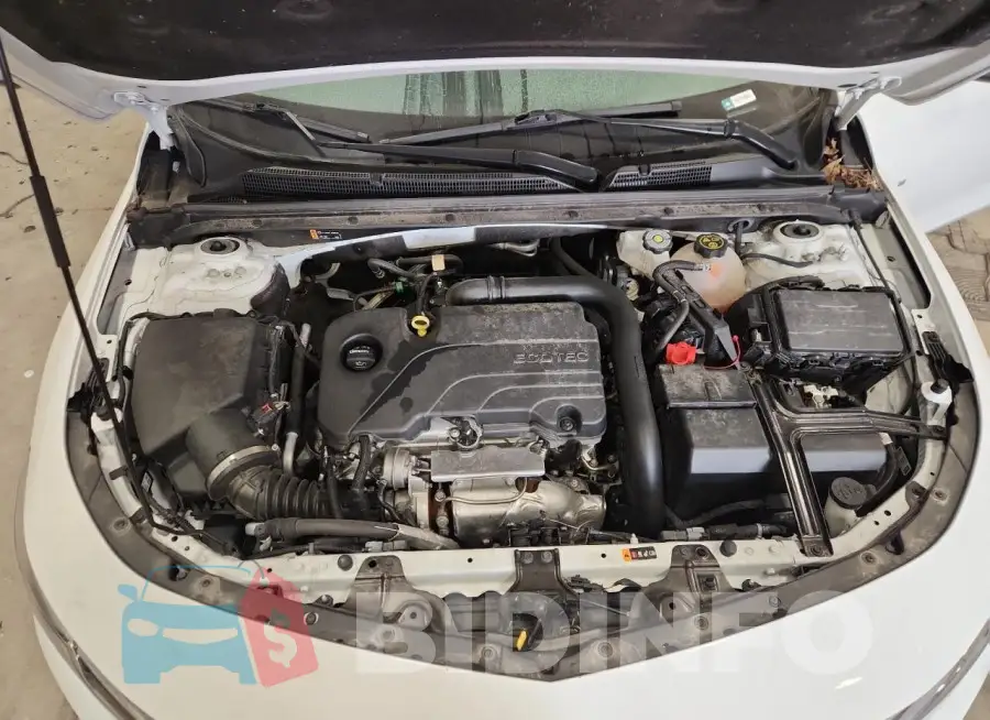 1G1ZD5ST1RF175019 Photo# 11