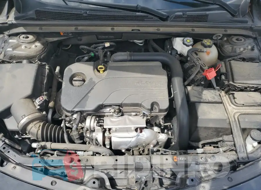 1G1ZD5ST8PF144444 Photo# 11