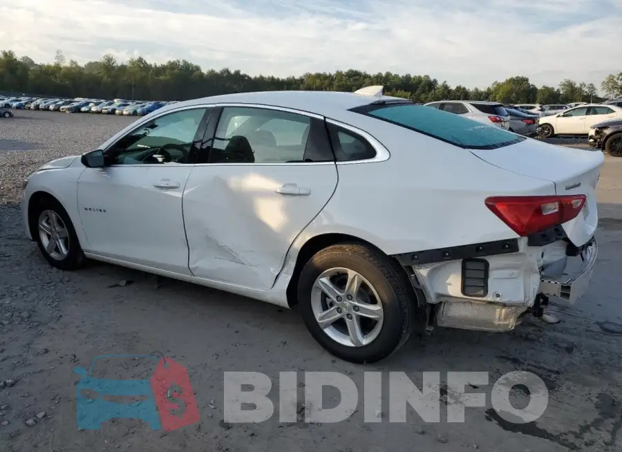 1G1ZD5ST8RF206167 Photo# 2