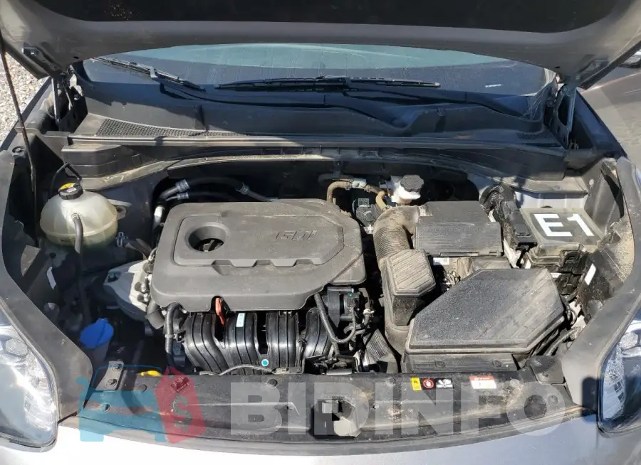 KNDP63AC2L7774429 Photo# 12