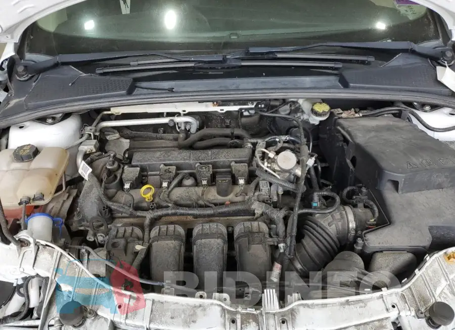 1FADP3F20GL389051 Photo# 11