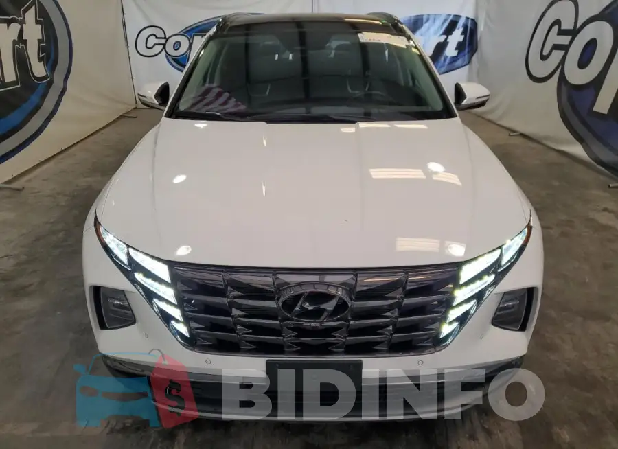 5NMJECDE6RH307294 Photo# 5
