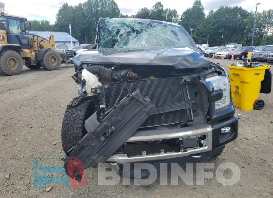 1FTEW1EF5GFB17524 Photo# 5