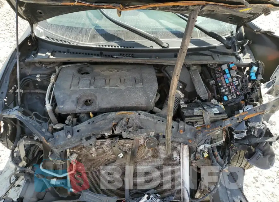 5YFBURHE9HP652828 Photo# 11