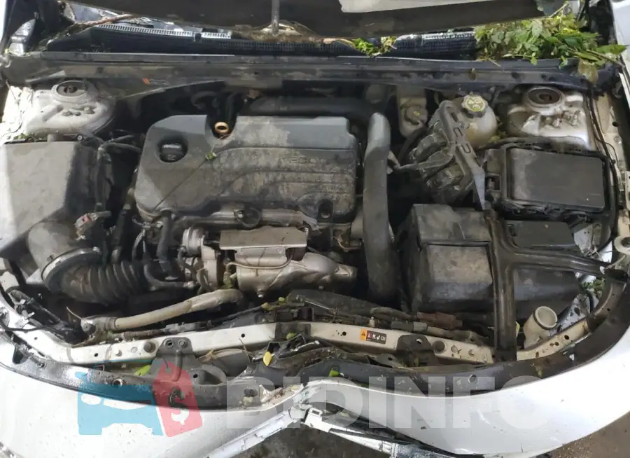 1G1ZD5ST6KF156584 Photo# 11