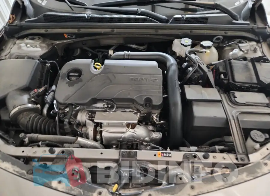 1G1ZD5ST8RF213281 Photo# 11