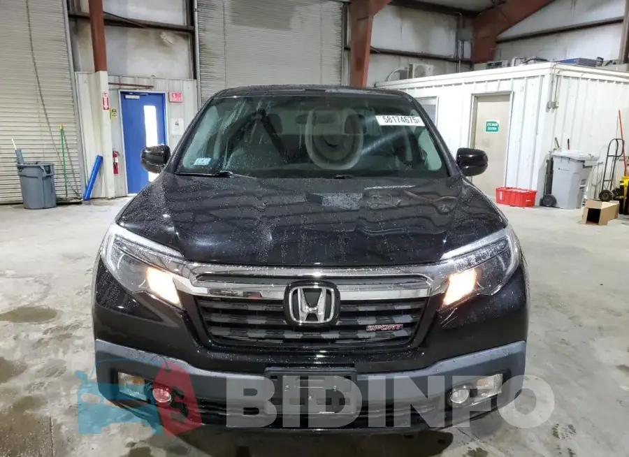 5FPYK3F16HB018943 Photo# 5