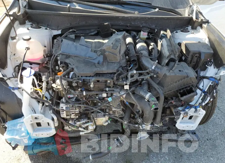 5NTJEDDF1SH136639 Photo# 11