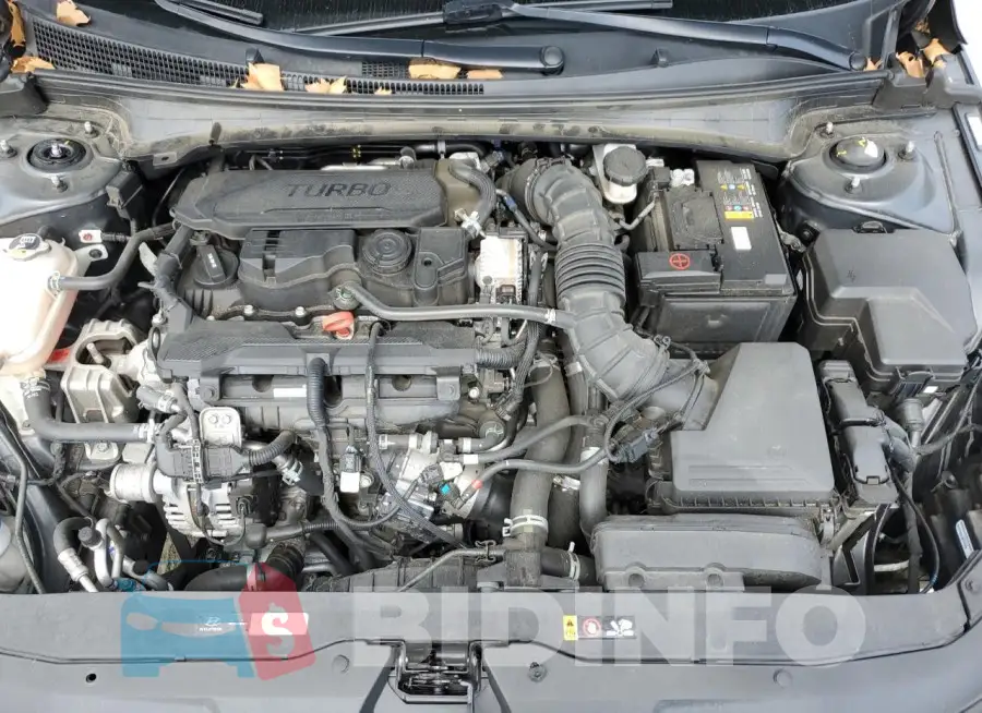 KMHLR4AF4PU385333 Photo# 11