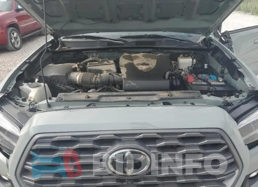 3TMCZ5AN8PM566067 Photo# 11