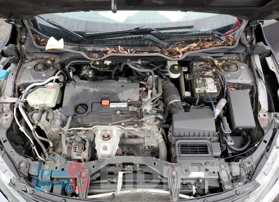 19XFC2F59JE202053 Photo# 11