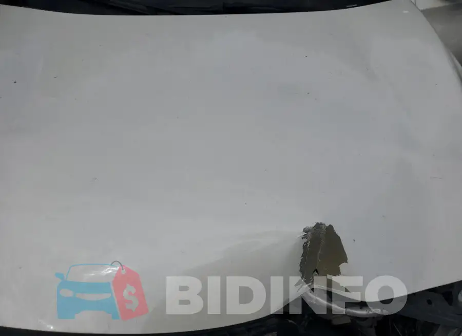 SJKCH5CR6HA040096 Photo# 12