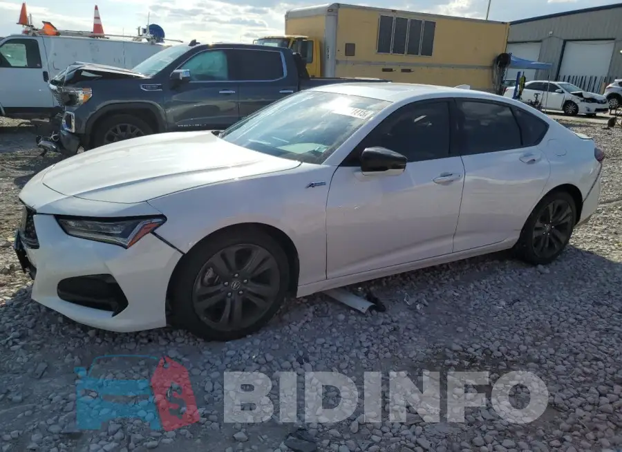 19UUB6F53MA008533 Photo# 1