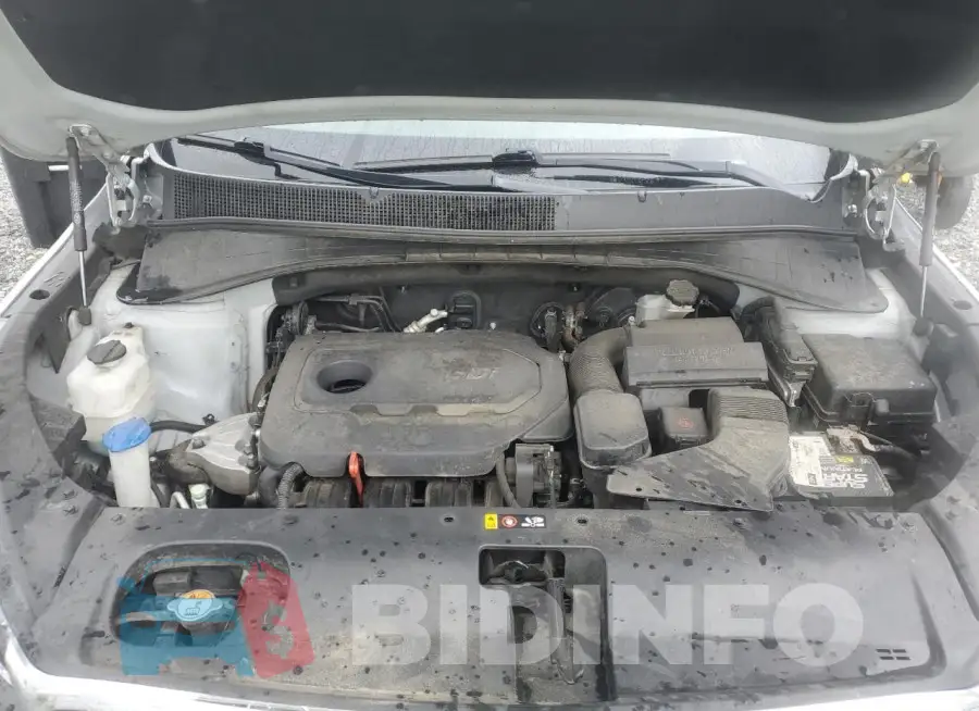 5XYPG4A38HG206201 Photo# 12