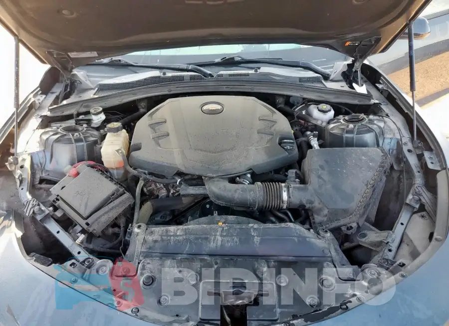 1G1FB1RS9M0103446 Photo# 11