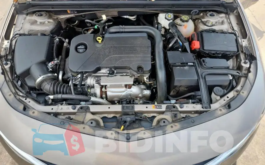 1G1ZD5ST3RF167956 Photo# 11