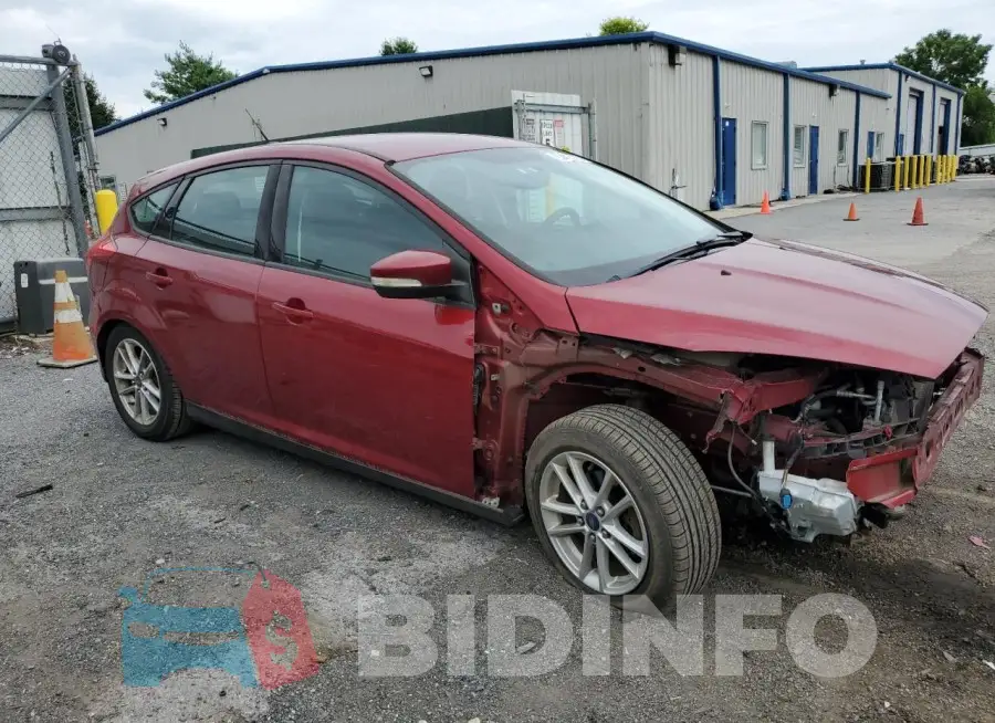 1FADP3K23GL206926 Photo# 4