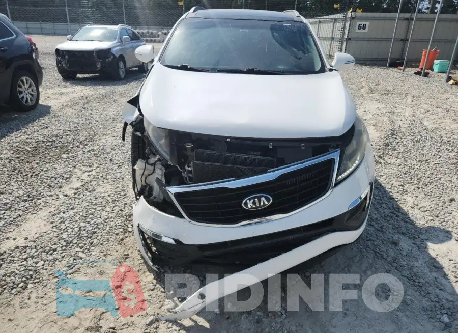 KNDPC3A60G7816699 Photo# 5