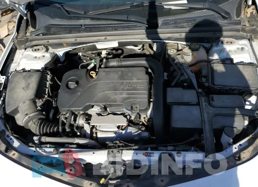1G1ZD5ST5JF181877 Photo# 11